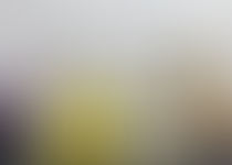 FAQ: What are Essential Oils?