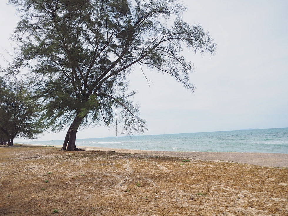 Pantai Penarik