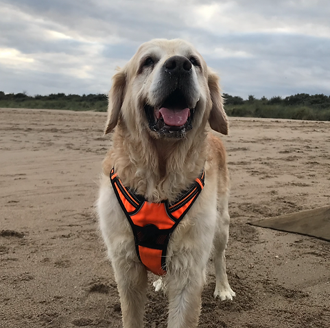 Screenshot 2021-09-02 at 12.27.38.png