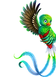 ec6632b088eb6b0ba0f878d77cc6379a.png