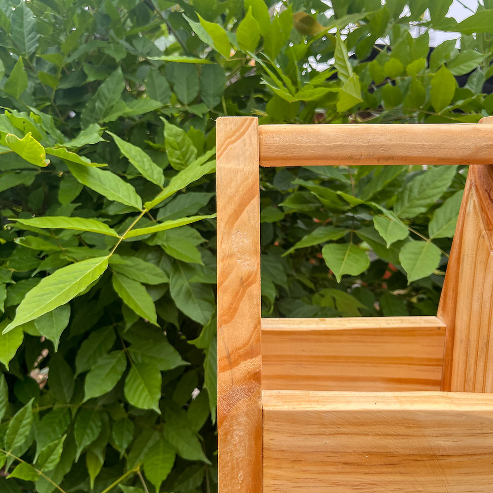 Miniatura: Caja Multiusos