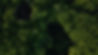_Groundd EUDR 2026 (1).jpg