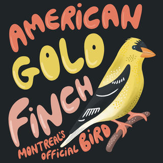 Illustration of an American Gold Finch