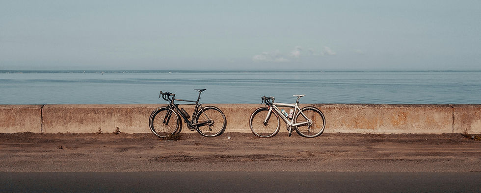 viktor-bystrov-mPqo7JYGPI0-unsplash_edited.jpg
