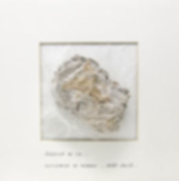 E1193BF6-E4B1-430C-8587-F2363B39458A_1_2