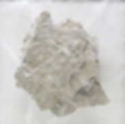 7CEFEE3B-F39D-43B1-A2AB-1CBD1B54DFC6_1_2
