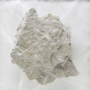 7CEFEE3B-F39D-43B1-A2AB-1CBD1B54DFC6_1_2
