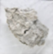 142BA06C-09E2-4064-90F6-16F8471994C3_1_2