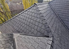 images (1)_edited.jpg