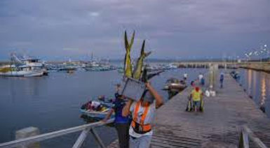 PESCA.jpeg