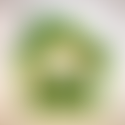 Carbon Positive Material Reuse and the Circular Economy