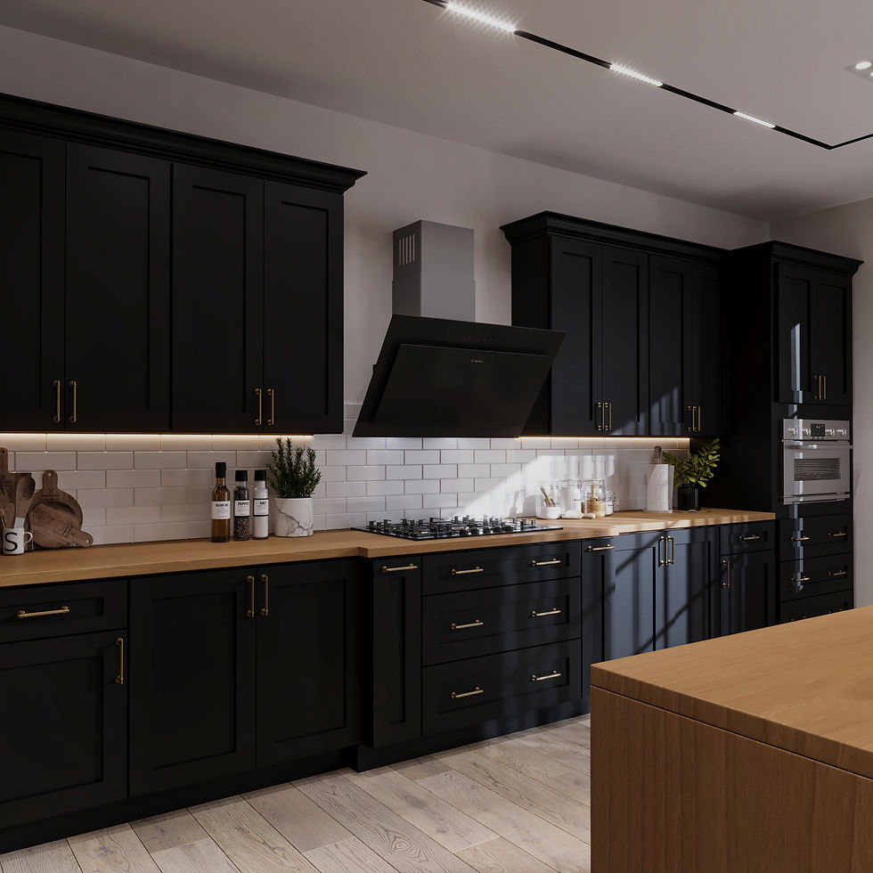 Sky Iron Black Shaker RTA Cabinets