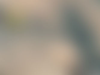 ¿Qué hay de mal en diferir? 