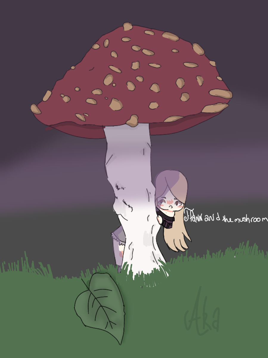 Flanny champignon
