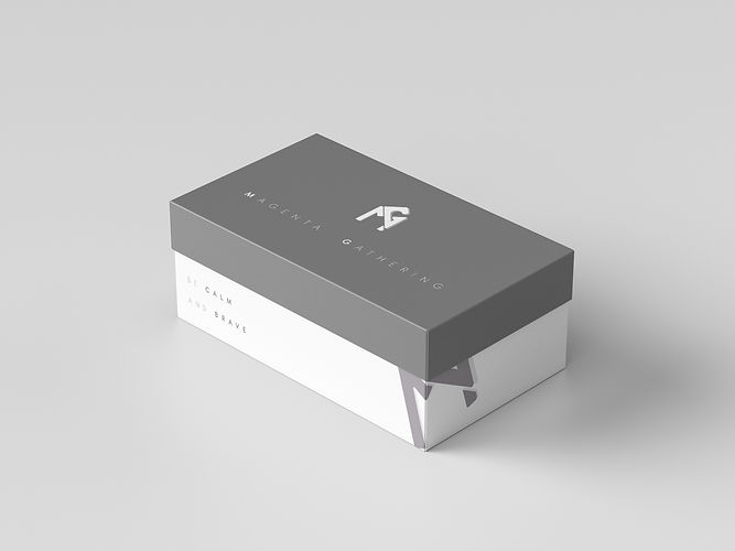 Shoes Box Mock Up.jpg
