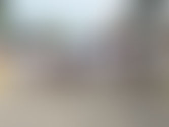 LA PRESIDENTA MUNICIPAL LUPITA RODRíGUEZ ENCABEZA EL DESFILE DEL PRIMERO DE MAYO