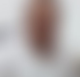 DARÁN A CONOCER OFERTA EDUCATIVA A EGRESADOS DE SECUNDARIA Y PREPARATORIA