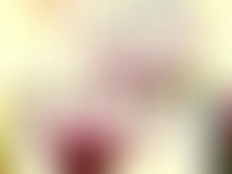 INVITAN A INSCRIBIRSE EN LA CARRERA IPN ONCE K VERACRUZ 2023