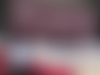 LA BANDERA DE MEXICO ES SIMBOLO DE PERTENENCIA Y HERMANDAD, POZOS CASTRO