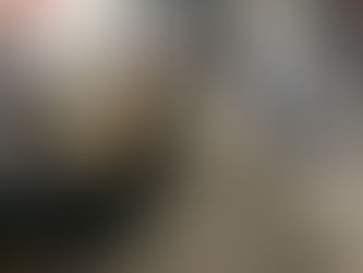 QUE INTERVENGA EL DIRECTOR DE COMERCIO PARA RETIRAR A AMBULANTES DEL LIBRAMIENTO ADOLFO LÓPEZ MATEOS