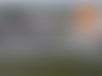 IMM CELEBRARÁ EN LA COLONIA HERNÁNDEZ OCHOA EL ''DÍA NARANJA''