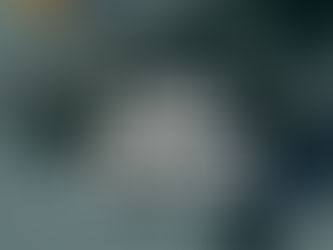 UNO DE LOS 365 DÍAS IMPORTANTES DE QUIENES EJERCEMOS ESTA ACTIVIDAD INFORMATIVA