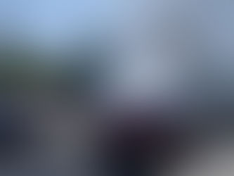 SE INCENDIA UNA CAMIONETA EN LA AUTOPISTA TUXPAN MEXICO A LA LATURA DE CEIBA RICA