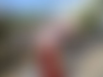 EN LA COLONIA HERNÁNDEZ OCHOA COMIENZA LA OBRA PÚBLICA