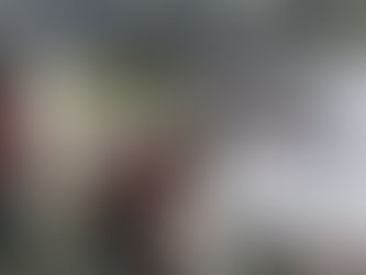 EN EL PARQUE REFORMA RETIRAN PROPAGANDA DE RECOLECCIÓN DE FIRMAS