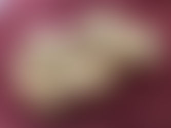 SUBEN QUE SUBEN LOS PRECIOS DE PRODUCTOS Y EL SALARIO ESTÁTICO