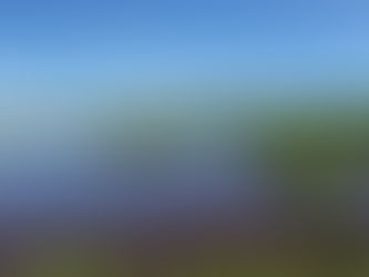 SE HAN LOGRADO RESTAURAR LOS MANGLARES DE LA LAGUNA DE TAMAMACHOCO, BIOLÓGO MAURICIO HERNÁNDEZ