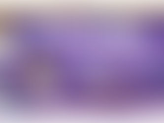 REMOLINO DE HISTORIAS TRAE TALLERES PARA INFANTES Y JÓVENES DURANTE LA 32 FNLIy J