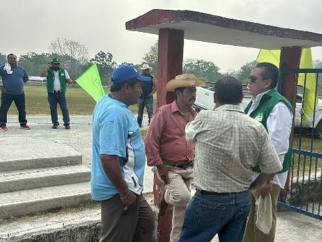 LA OLA VERDE SE EXTIENDE CON ÉXITO A LAS CONGREGACIONES
