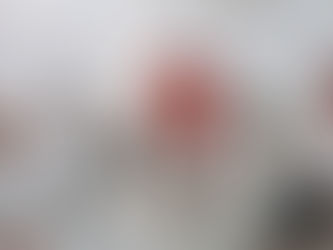 INSTALAN CONSEJO DE ECONOMÍA DE LA REGIÓN HUASTECA BAJA