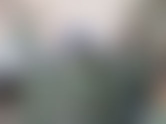 VISITAN INSTALACIONES DE LA FUERZA NAVAL DEL GOLFO