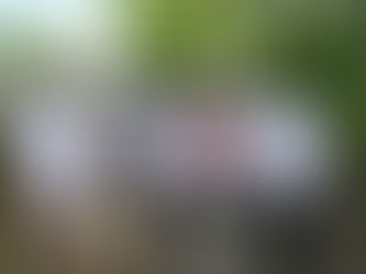 RECIBEN FAMILIAS DE TUXPAN ESCRITURAS DE PARTE DEL GOBIERNO ESTATAL