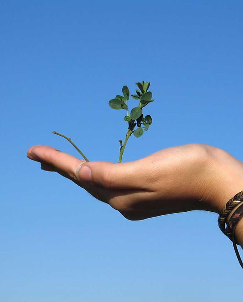 Hand die een installatie