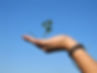 Mão que prende uma planta