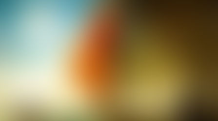 Мир, каким он может быть