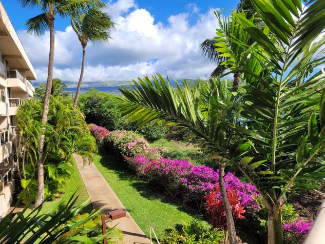 View From Condo Balcony (Lanai)