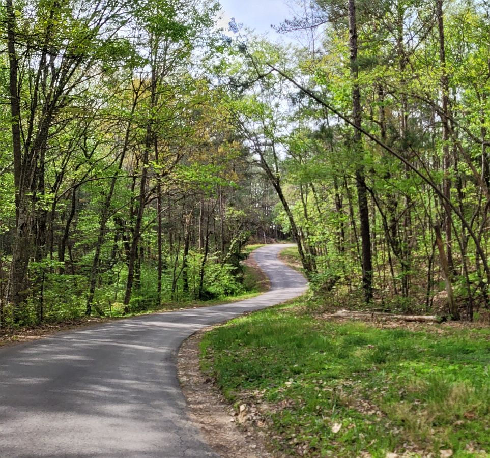 Twisty Appalachian Back Road