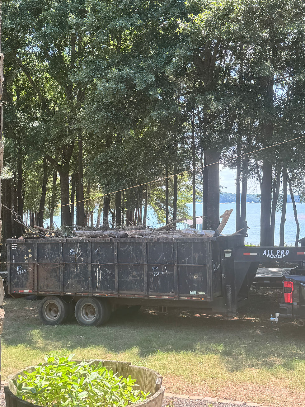 Construction waste disposal and debris removal