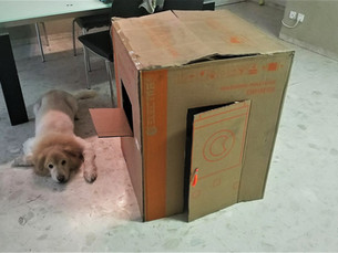 החופש להיות בבית