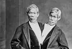 התאומים בנקר