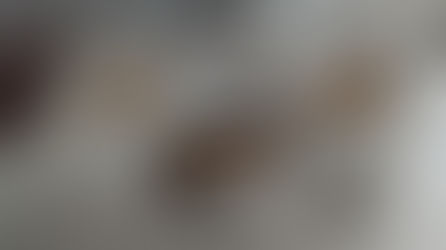 עשי זאת בעצמך: מסיבה יצירתית יום הולדת וטרינרית חתולים