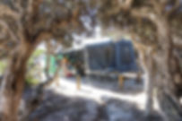 DSC01069-01.jpeg