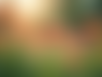 Join Us: Ciella Foundation's Mission for Healing