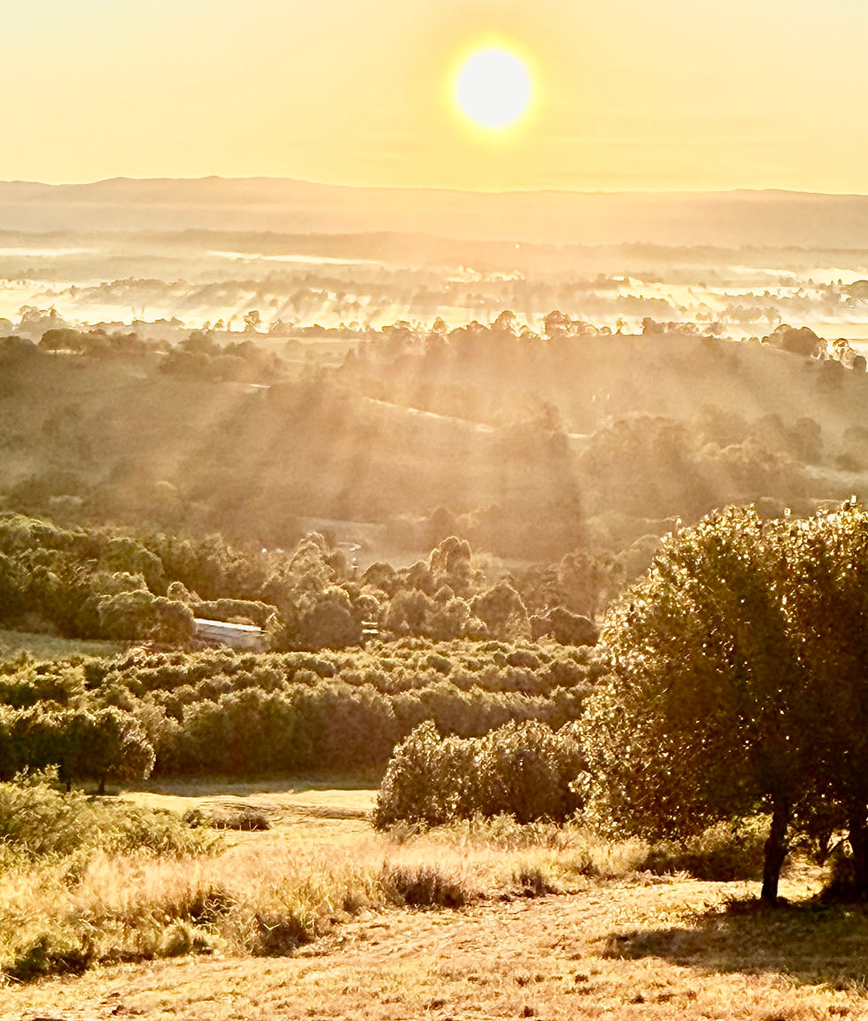 LR First Light 4.jpg