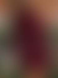 Fall Dress Trends 2023