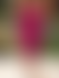 Fall 2023 Wedding Guest Outfits